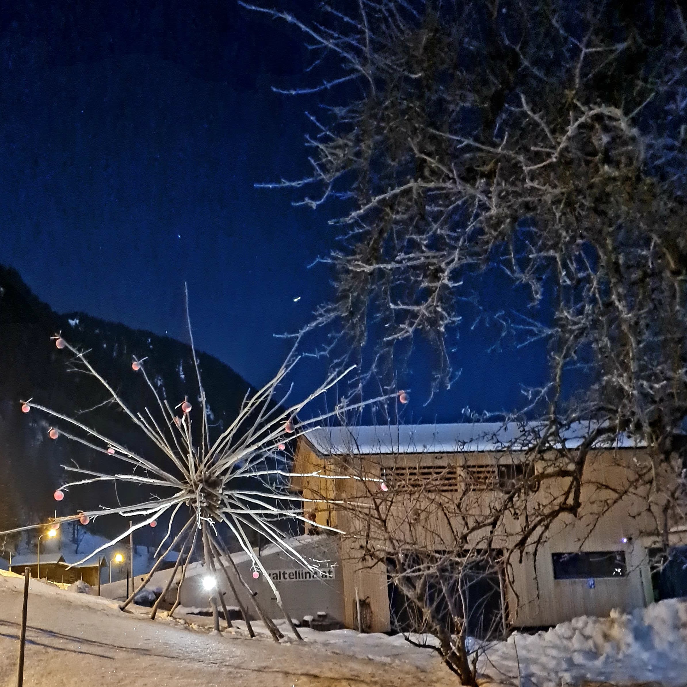 Winterliche Beleuchtung im Außenbereich
